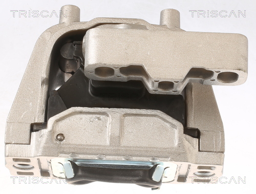 TRISCAN 8505 29126 Lagerung, Motor