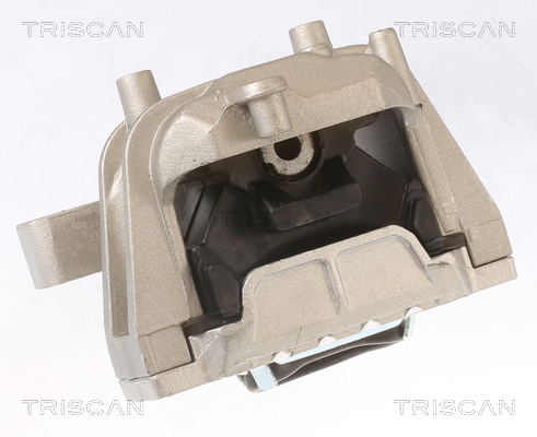 TRISCAN 8505 29126 Lagerung, Motor