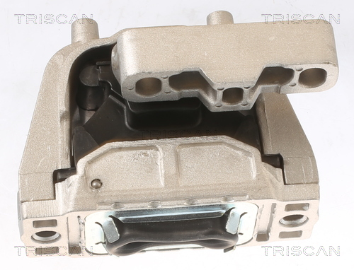 TRISCAN 8505 29126 Lagerung, Motor