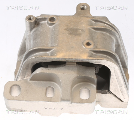 TRISCAN 8505 29127 Lagerung, Motor