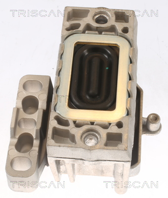 TRISCAN 8505 29127 Lagerung, Motor