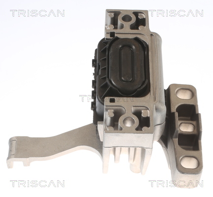 TRISCAN 8505 29128 Lagerung, Motor