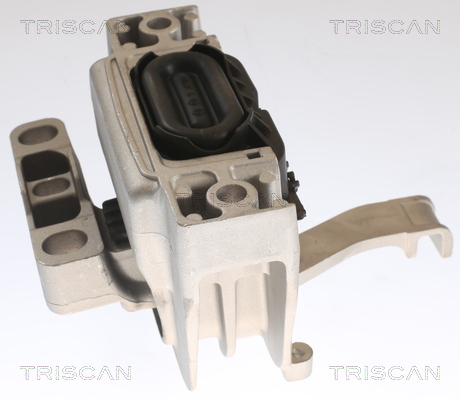 TRISCAN 8505 29129 Lagerung, Motor