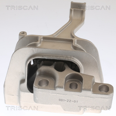 TRISCAN 8505 29129 Lagerung, Motor