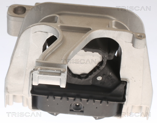 TRISCAN 8505 29129 Lagerung, Motor