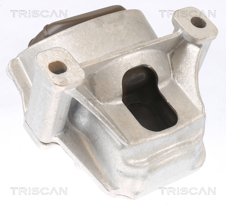 TRISCAN 8505 29130 Lagerung, Motor