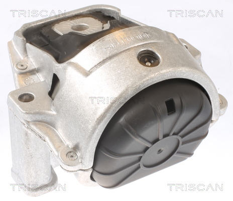 TRISCAN 8505 29130 Lagerung, Motor