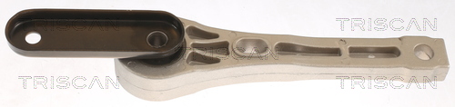 TRISCAN 8505 29131 Lagerung, Motor