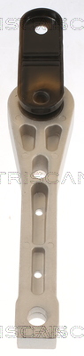 TRISCAN 8505 29132 Lagerung, Motor
