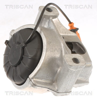 TRISCAN 8505 29133 Lagerung, Motor