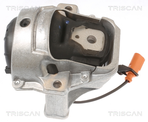 TRISCAN 8505 29133 Lagerung, Motor