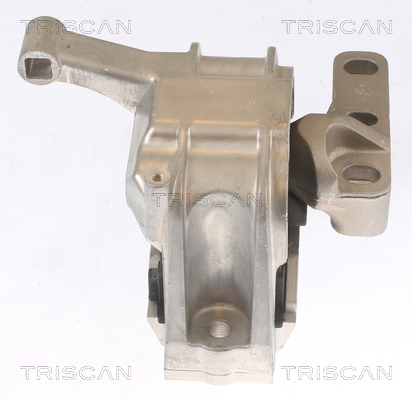 TRISCAN 8505 29134 Lagerung, Motor