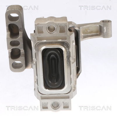 TRISCAN 8505 29134 Lagerung, Motor