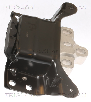 TRISCAN 8505 29135 Lagerung, Motor