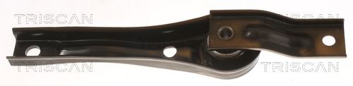 TRISCAN 8505 29136 Lagerung, Motor