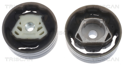 TRISCAN 8505 29137 Lagerung, Motor