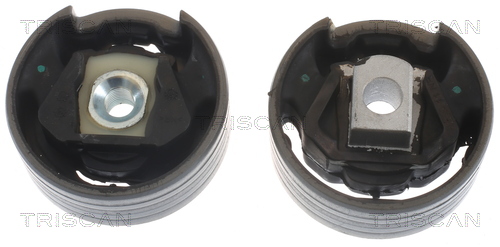 TRISCAN 8505 29137 Lagerung, Motor
