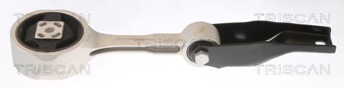 TRISCAN 8505 29138 Lagerung, Motor