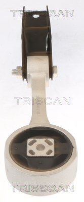 TRISCAN 8505 29138 Lagerung, Motor