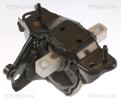 TRISCAN 8505 29139 Lagerung, Motor