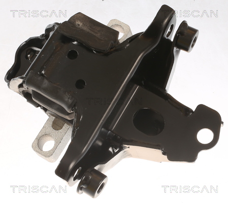 TRISCAN 8505 29139 Lagerung, Motor