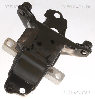TRISCAN 8505 29139 Lagerung, Motor