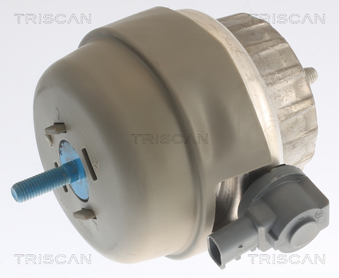 TRISCAN 8505 29141 Lagerung, Motor
