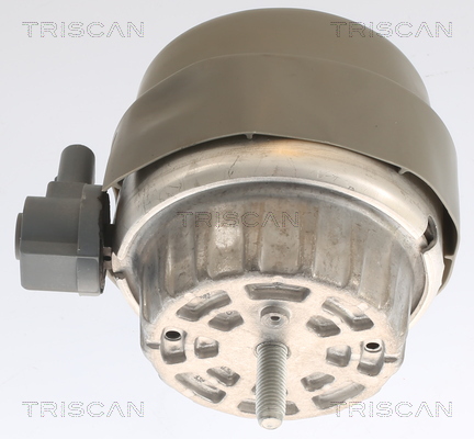 TRISCAN 8505 29141 Lagerung, Motor