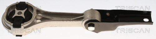 TRISCAN 8505 29142 Lagerung, Motor