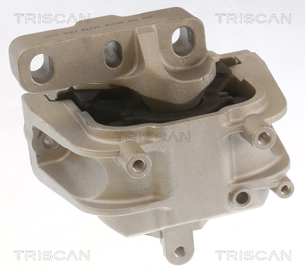 TRISCAN 8505 29143 Lagerung, Motor