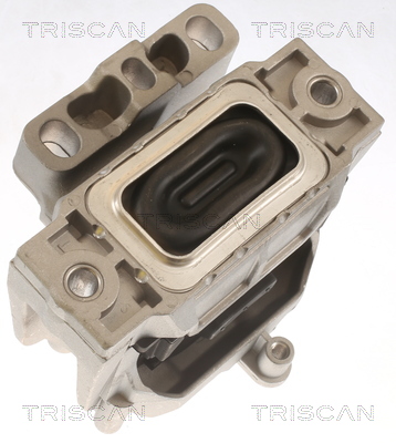 TRISCAN 8505 29143 Lagerung, Motor