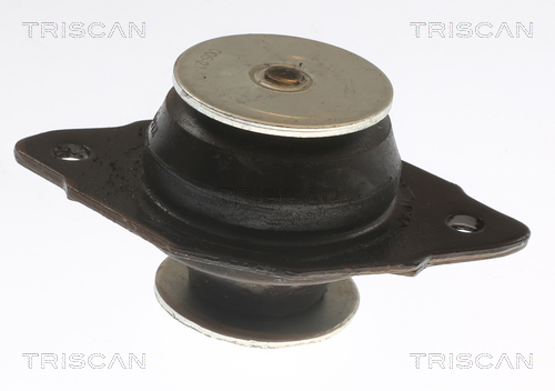 TRISCAN 8505 29144 Lagerung, Motor