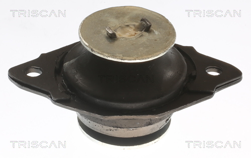 TRISCAN 8505 29144 Lagerung, Motor