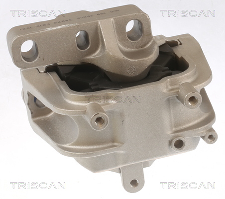 TRISCAN 8505 29145 Lagerung, Motor