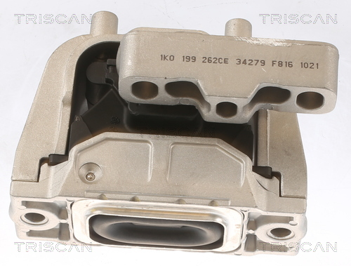 TRISCAN 8505 29145 Lagerung, Motor