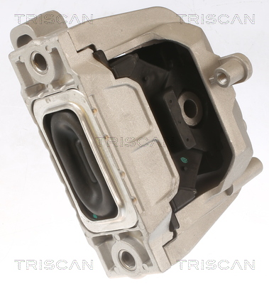 TRISCAN 8505 29145 Lagerung, Motor