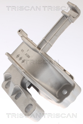 TRISCAN 8505 29146 Lagerung, Motor