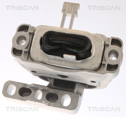 TRISCAN 8505 29146 Lagerung, Motor