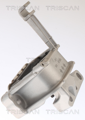 TRISCAN 8505 29146 Lagerung, Motor