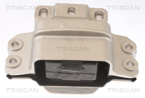 TRISCAN 8505 29148 Lagerung, Motor