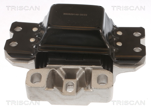 TRISCAN 8505 29148 Lagerung, Motor