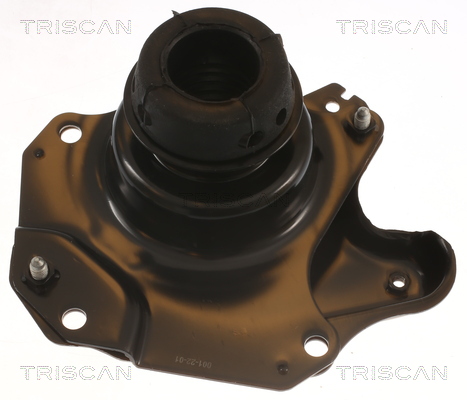 TRISCAN 8505 29150 Lagerung, Motor