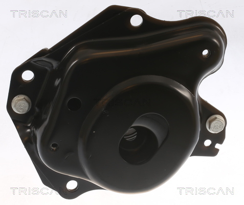 TRISCAN 8505 29150 Lagerung, Motor