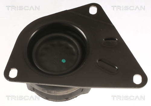 TRISCAN 8505 29151 Lagerung, Motor