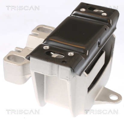 TRISCAN 8505 29152 Lagerung, Motor