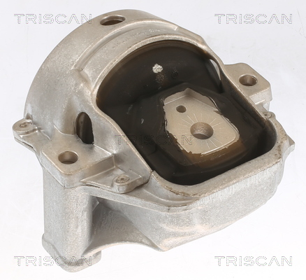 TRISCAN 8505 29155 Lagerung, Motor