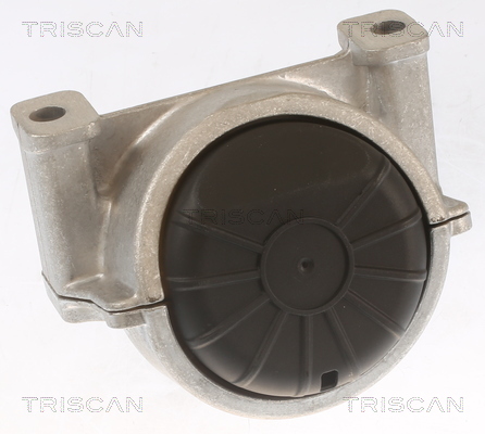 TRISCAN 8505 29155 Lagerung, Motor