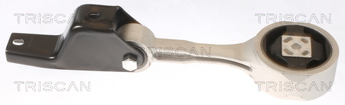 TRISCAN 8505 29156 Lagerung, Motor