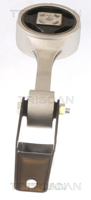 TRISCAN 8505 29156 Lagerung, Motor