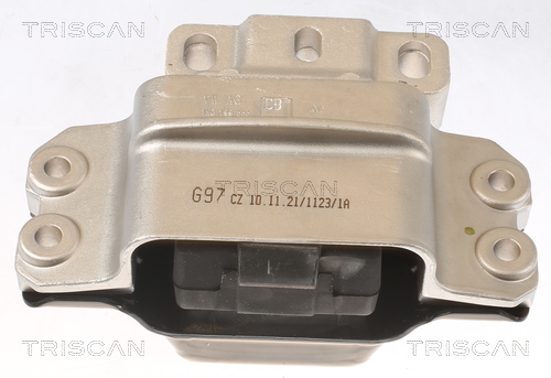 TRISCAN 8505 29157 Lagerung, Motor
